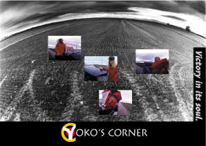 Foto Werbegrafik Kalender Grafische Gestaltung